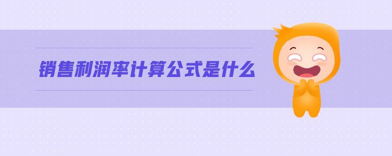 銷(xiāo)售利潤(rùn)率計(jì)算公式